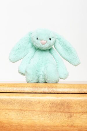 Jellycat Small Bashful Mint Bunny