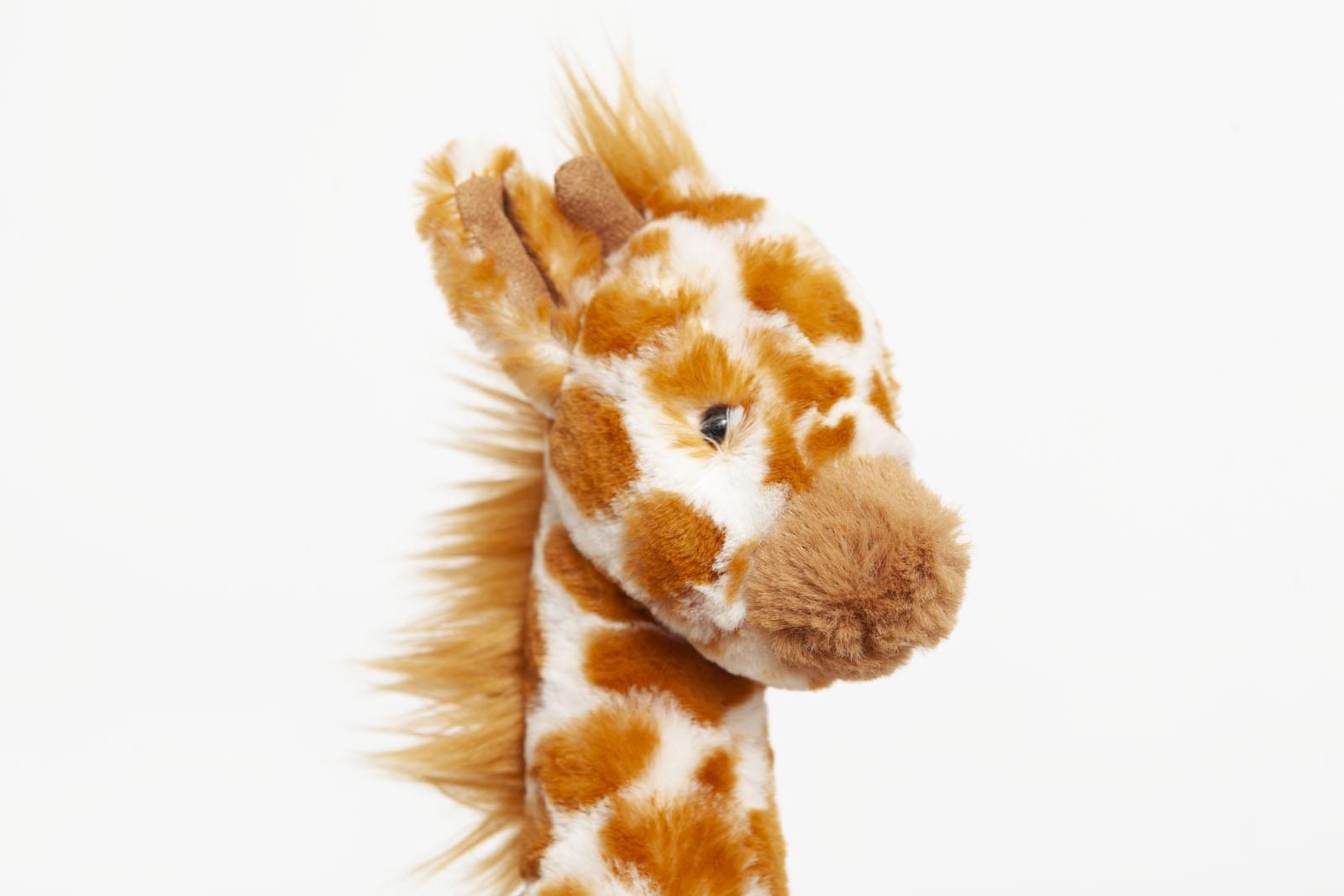 Jellycat Riff Ruff Jellycat Small Dillydally Giraffe – Ms Rudolph's