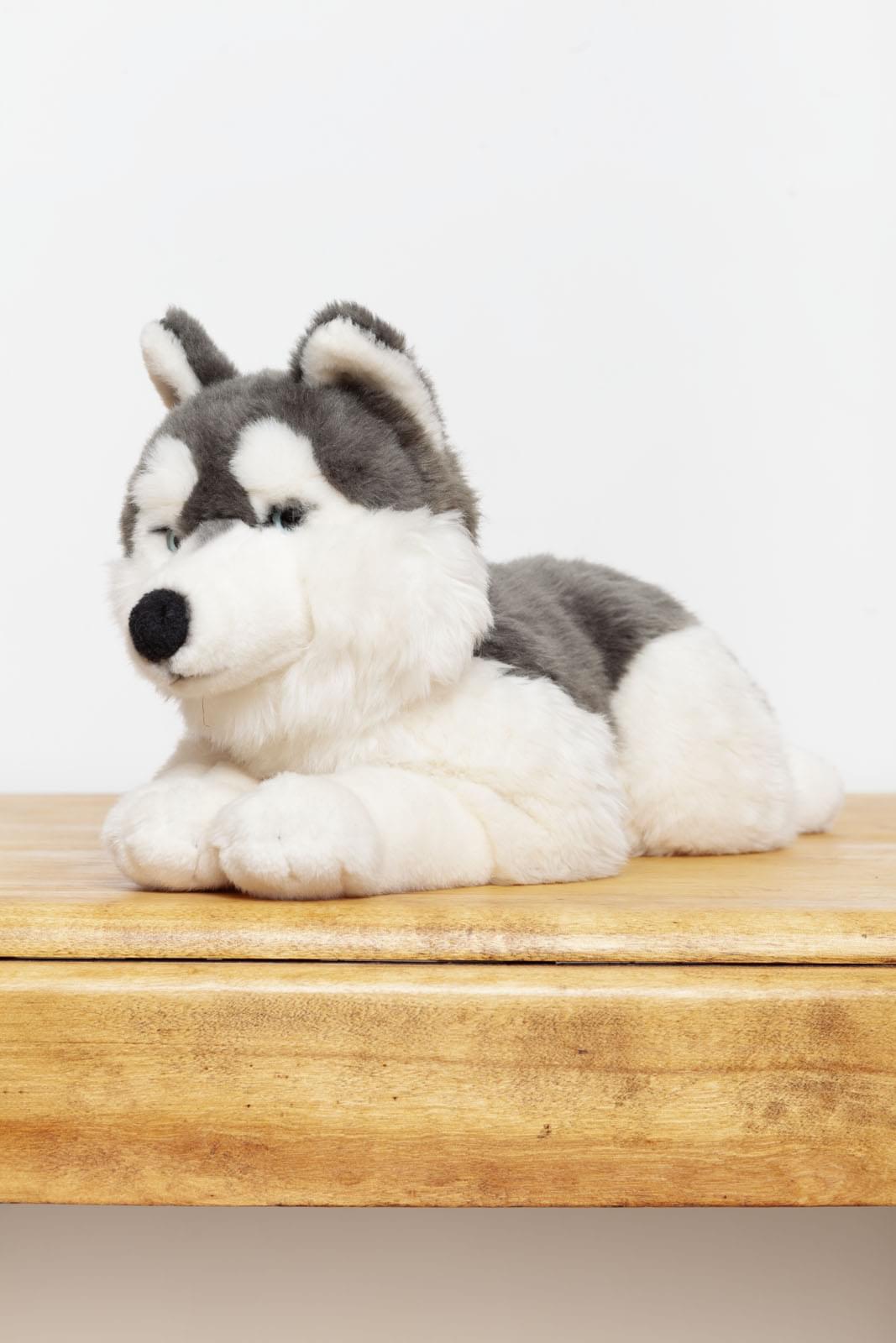 Achat Chiot Husky, debout (noir) - Sans laisse - 21 cm (longueur) - Mots clés : chien, animal de compagnie, peluche, peluche, peluche, peluche en gros