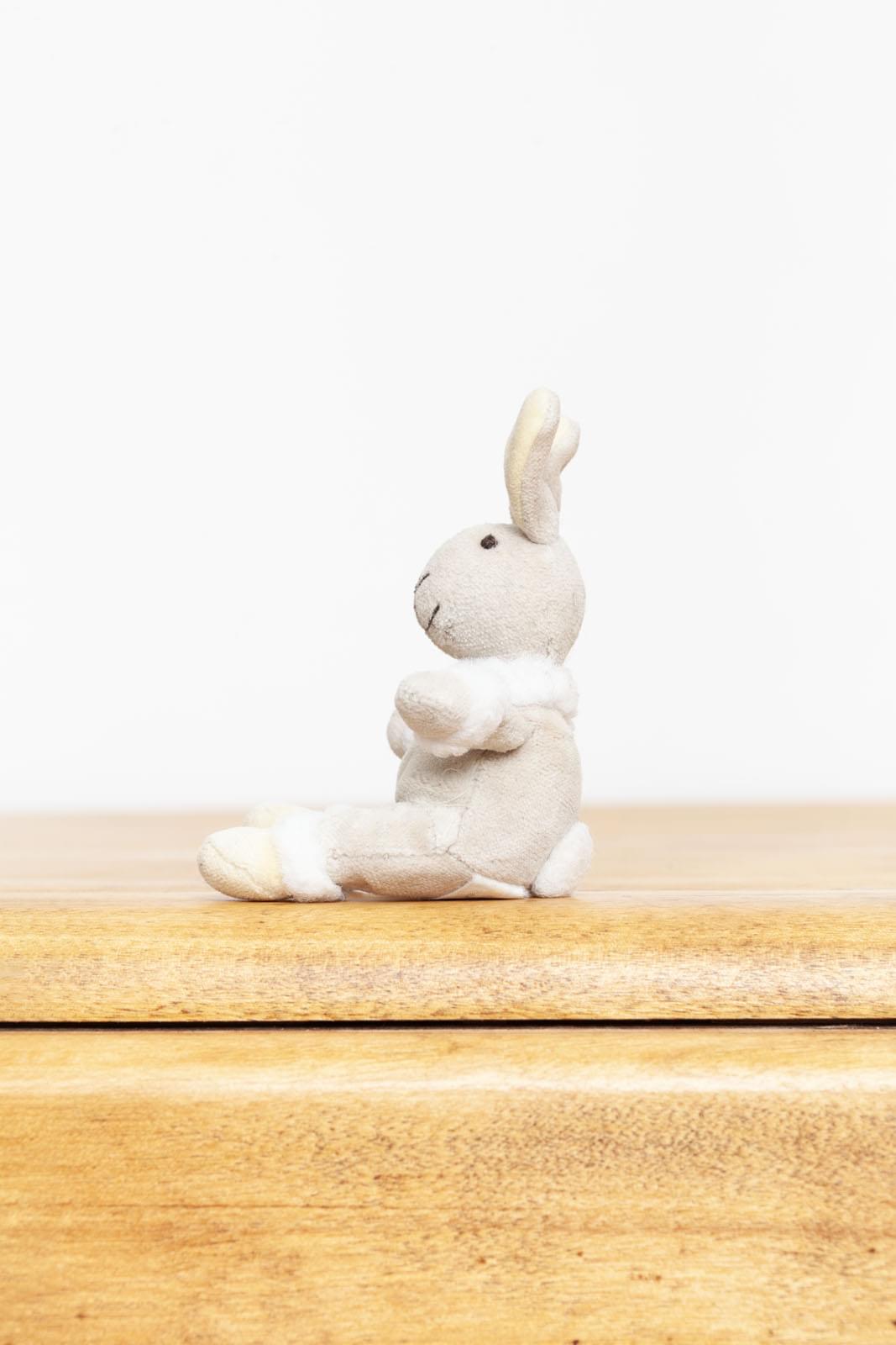 Jellycat Riff Ruff Jellycat Tiny Riff Ruff Bunny Rabbit – Ms Rudolph's