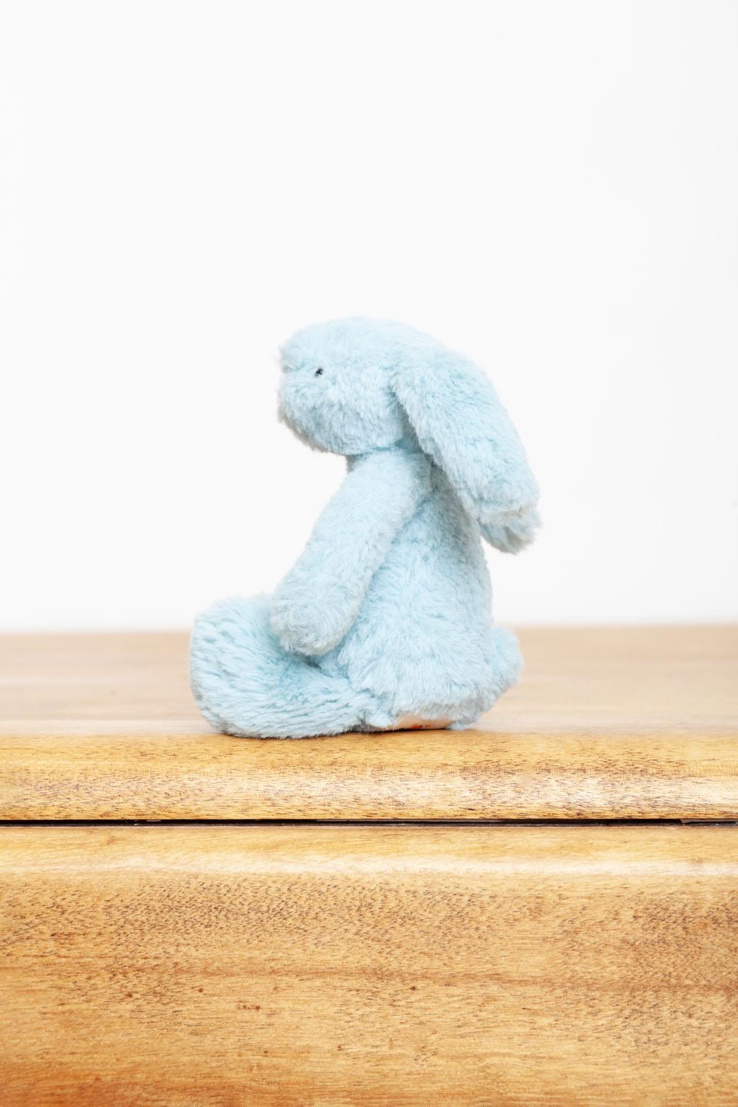 Jellycat Tiny Bashful Aqua Bunny Rabbit – Ms Rudolph's