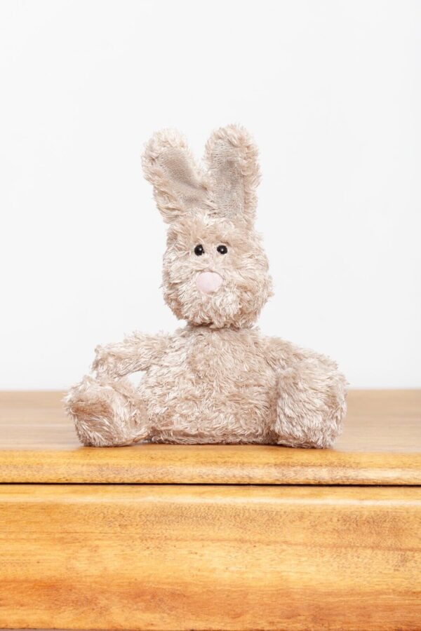 Jellycat Boppity Boing Bunny Rabbit