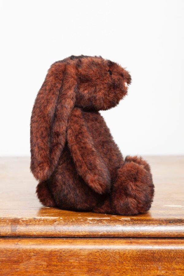 Walnut Ridge Rabbit Jellycat Medium Bashful Walnut Bunny Rabbit (nwot) – Ms Rudolph's
