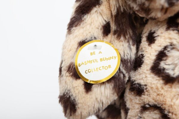 Jellycat Special Edition Bashful Dixie Bunny (Tagged) – Ms Rudolph's