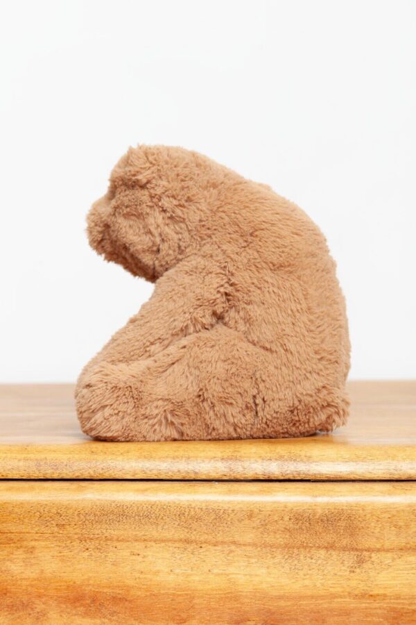 Jellycat Medium Cecil Bear - Image 2