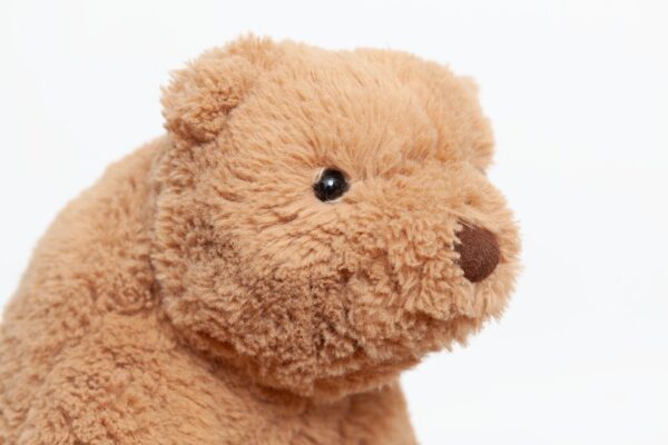 Jellycat Medium Cecil Bear - Image 5