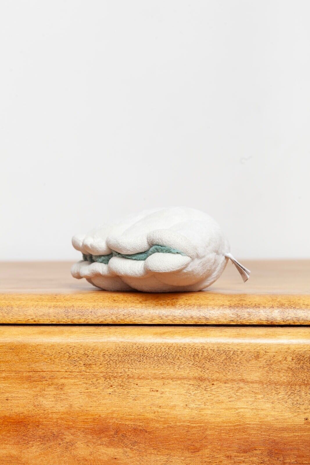 Jellycat Small Chloe Clam (nwot) – Ms Rudolph's