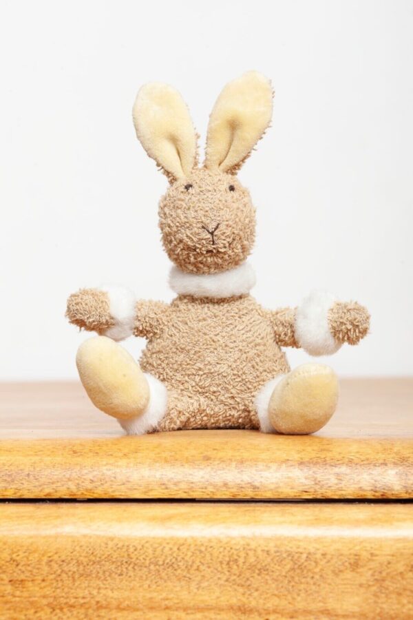 Jelly Cat Riff Raff Jellycat Small Riff Ruff Bunny – Ms Rudolph's