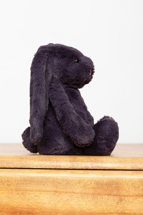 Jellycat Medium Bashful Inky Bunny Rabbit (nwot) – Ms Rudolph's