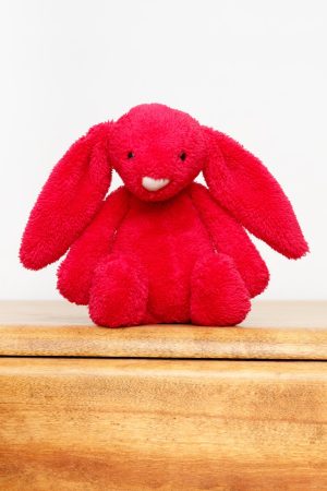 Bashful Bunnies – Ms Rudolph's